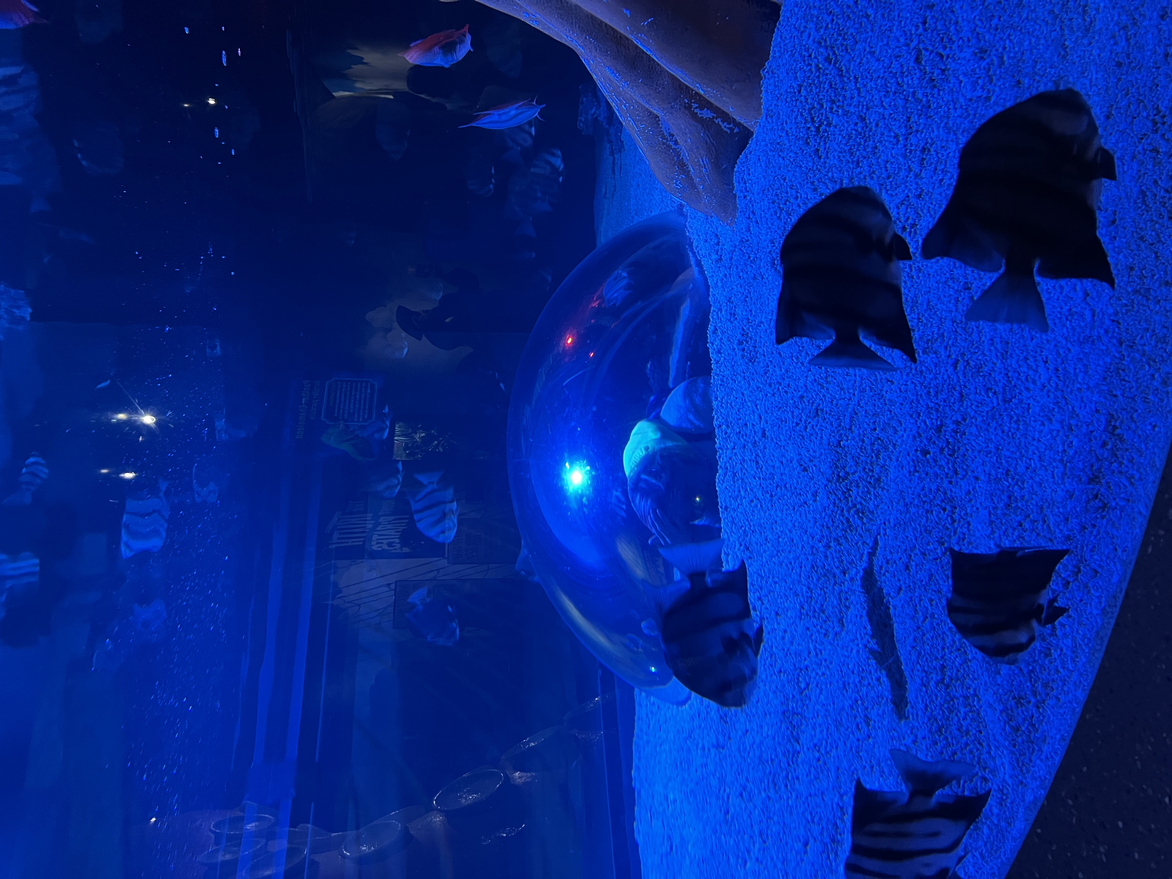 ./2024/10 - Myrtle Beach/IMG_3096.jpg